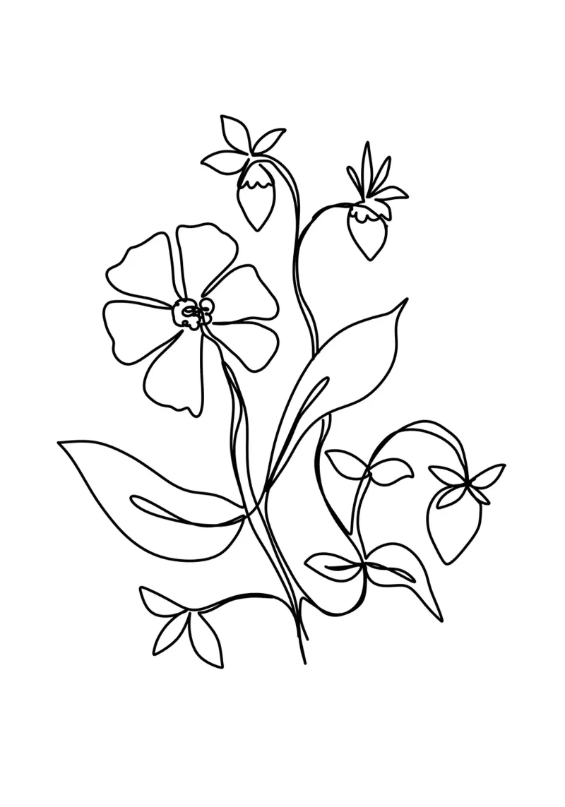 Fiori e fragole, disegno al tratto poster con telaio in alluminio da keinkonzept