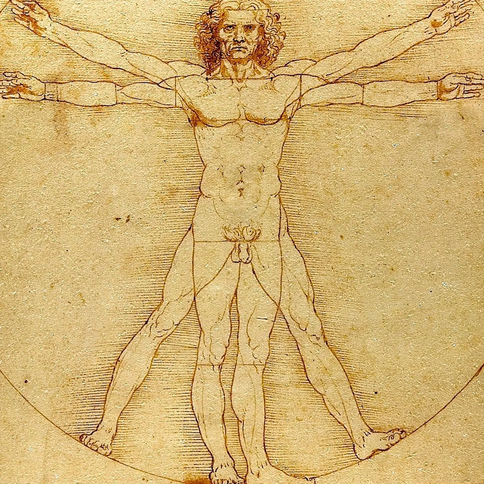 Leonardo da Vinci - The Vitruvian Man pellicola backlit da Timeless Artworks