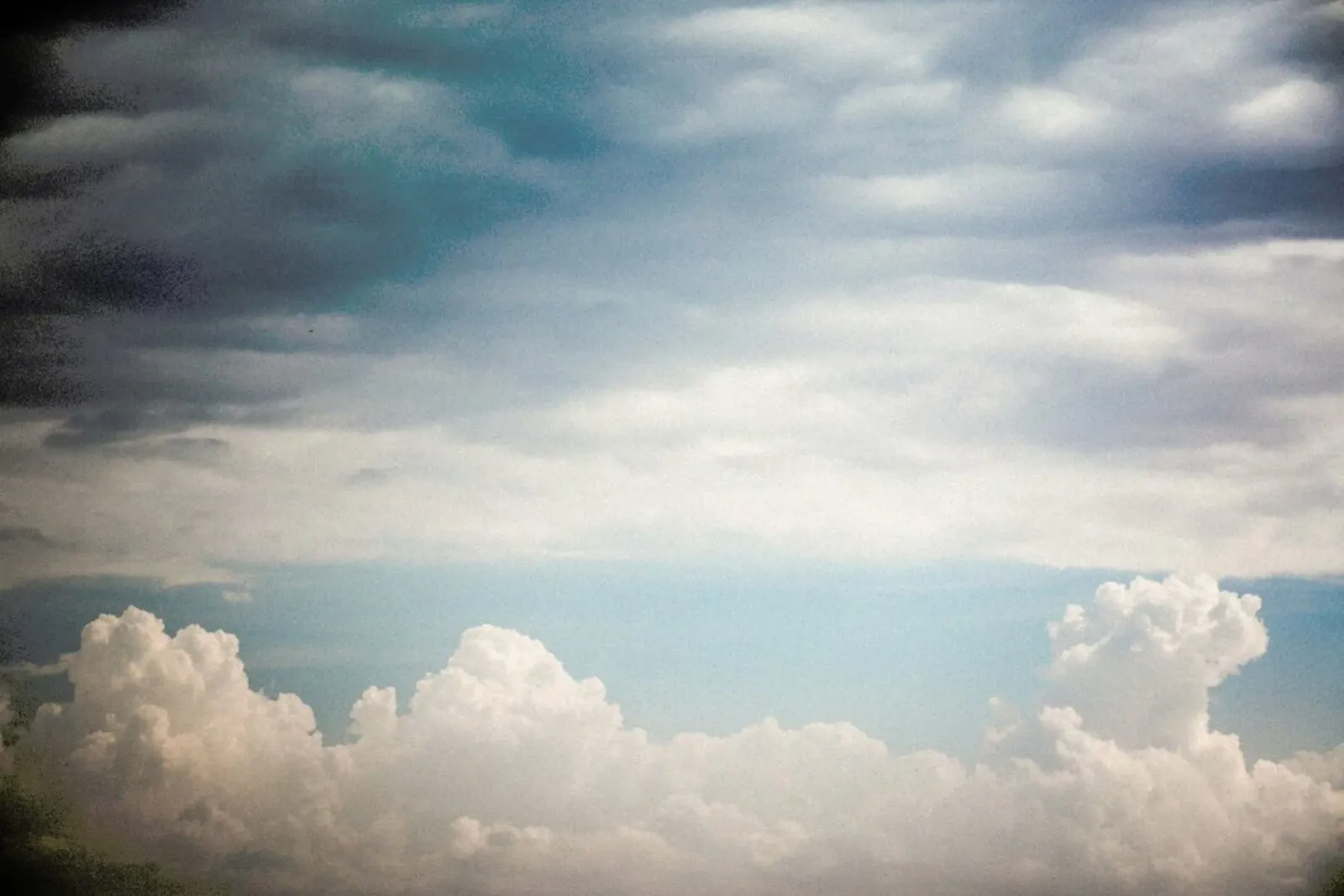 Autumn Clouds pellicola backlit da Tal Paz-Fridman
