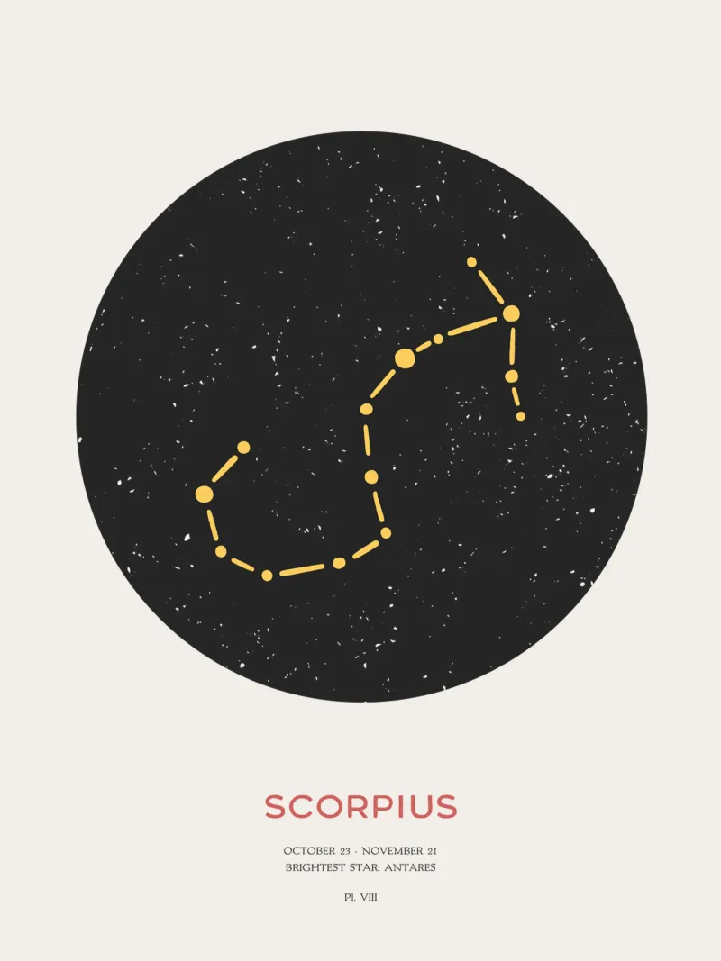 Scorpio - Constellation of the zodiac canvas with Floater frame by Vintagrafica