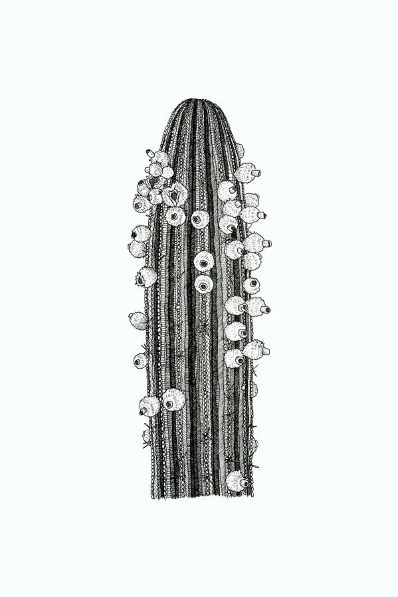Big Cactus pellicola backlit da Pen & Ink