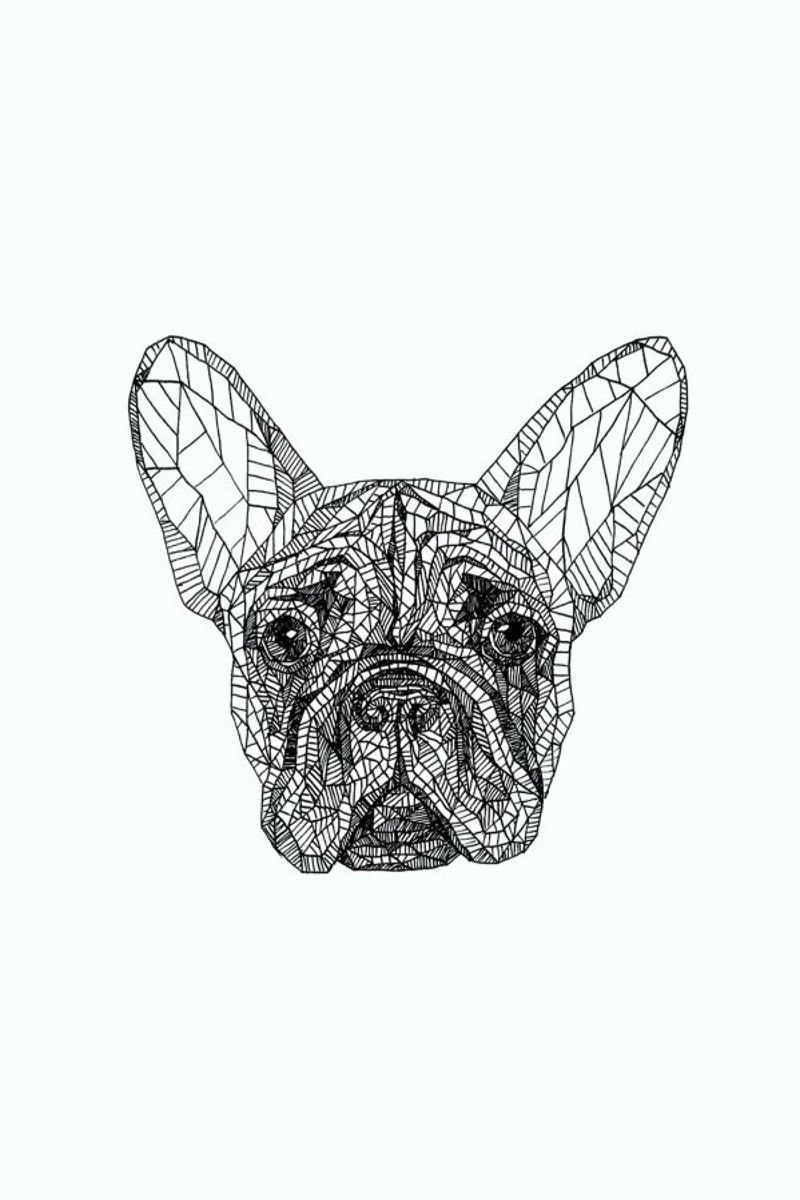 Frenchie pellicola backlit da Pen & Ink