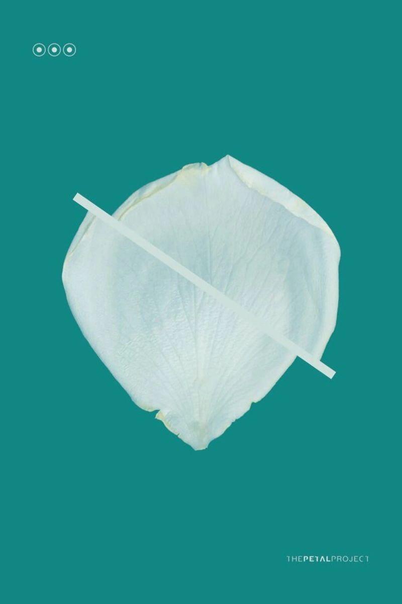 Petal Project No. 03 pellicola backlit da Bryon S. White