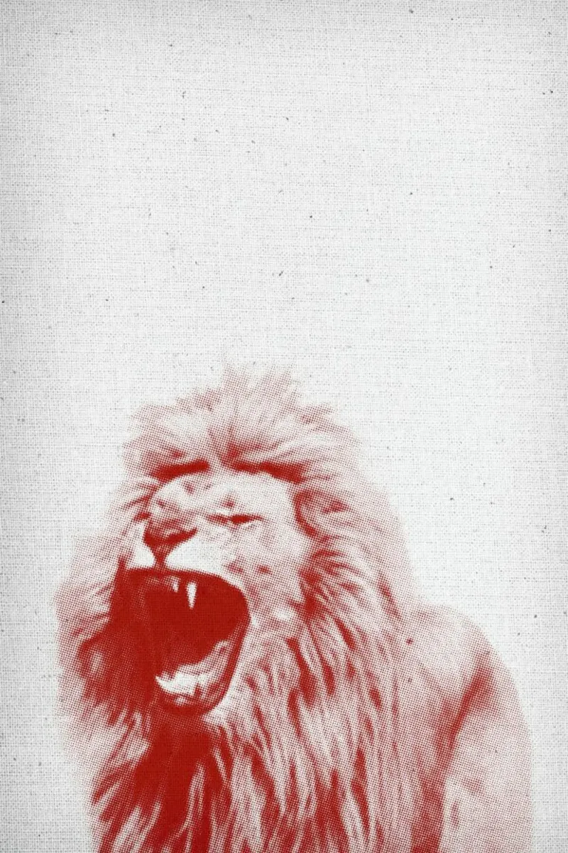 Lion pellicola backlit da Froilein Juno
