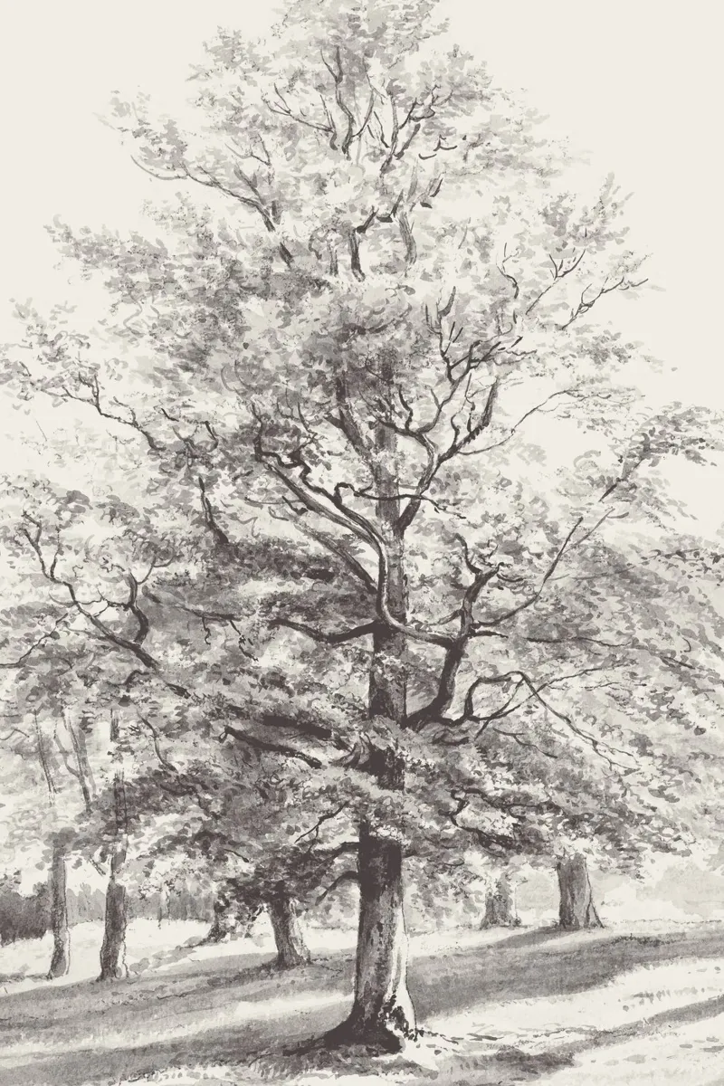 Tree Landscape Watercolor pellicola backlit da apoloprints