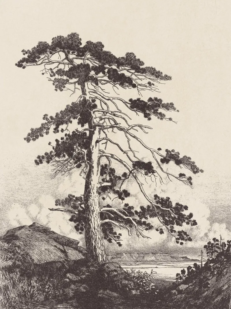 Black Pine Tree Landscape poster con telaio in alluminio da apoloprints