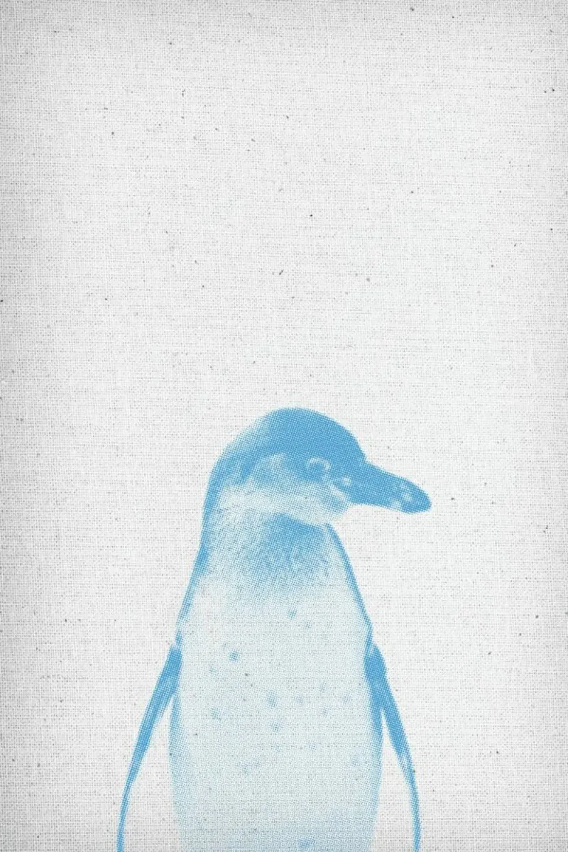 Pinguin 01 pellicola backlit da Froilein Juno