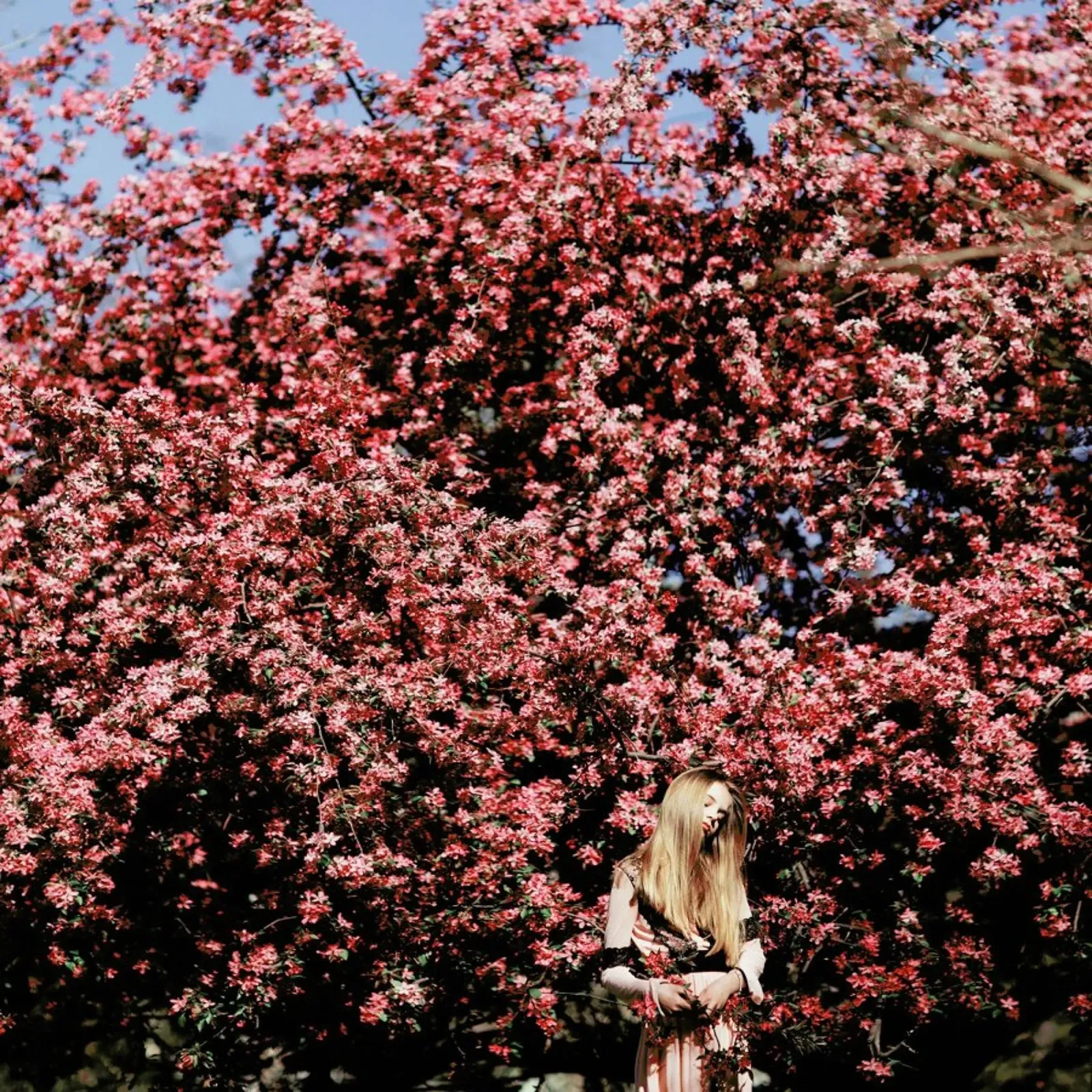 Flower Tree poster con telaio in plastica da Jovana Rikalo