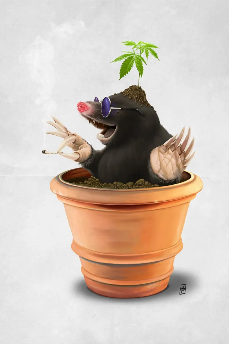 Pot (Wordless) pellicola backlit da Rob Art | Illustration