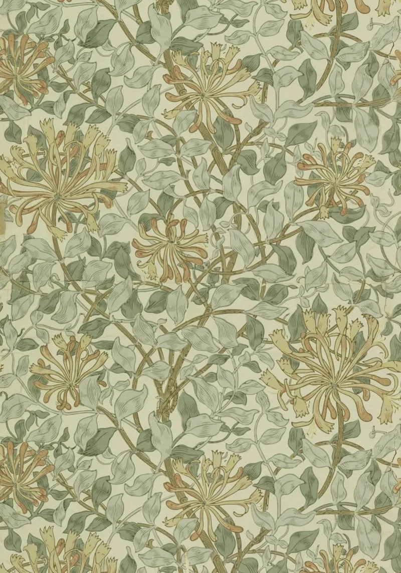 William Morris - Honeysuckle pattern canvas with Floater frame by William Store