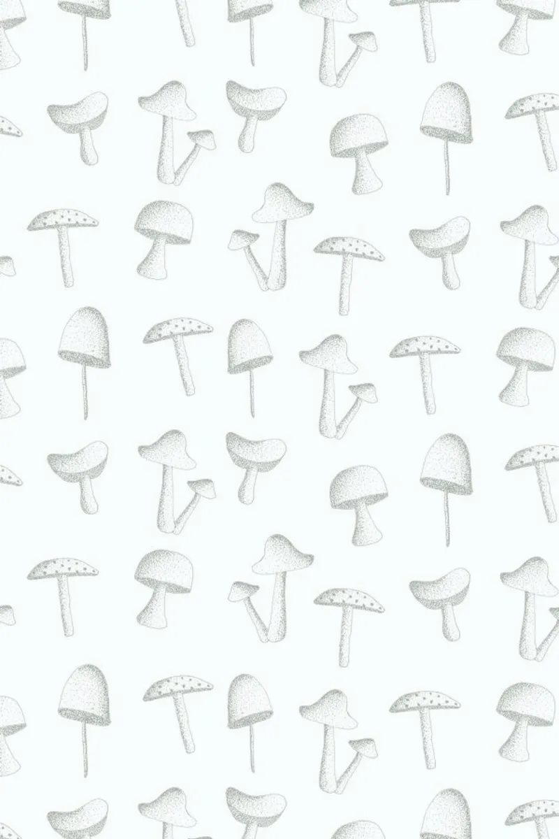 Mushrooms pellicola backlit da Jana Otto