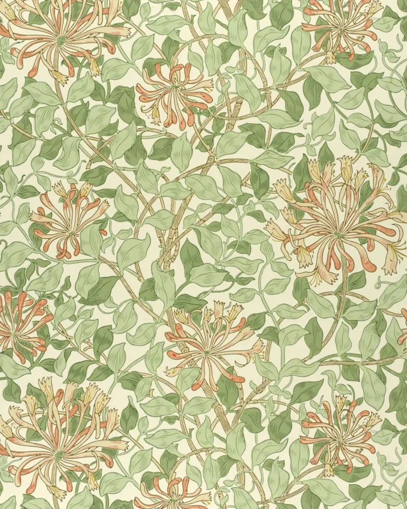 William Morris floreale pellicola backlit da William Store