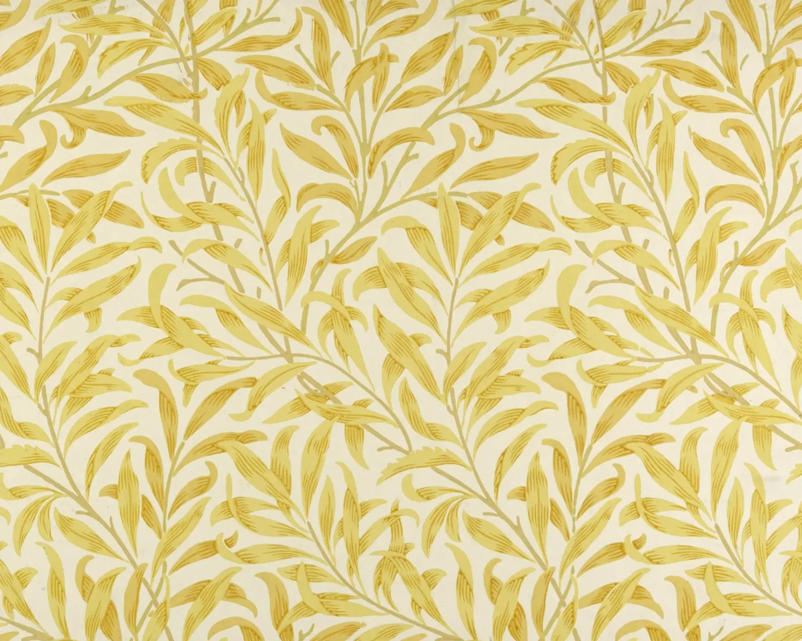 William Morris - Branches de saule, jaune hahnemühle de William Store