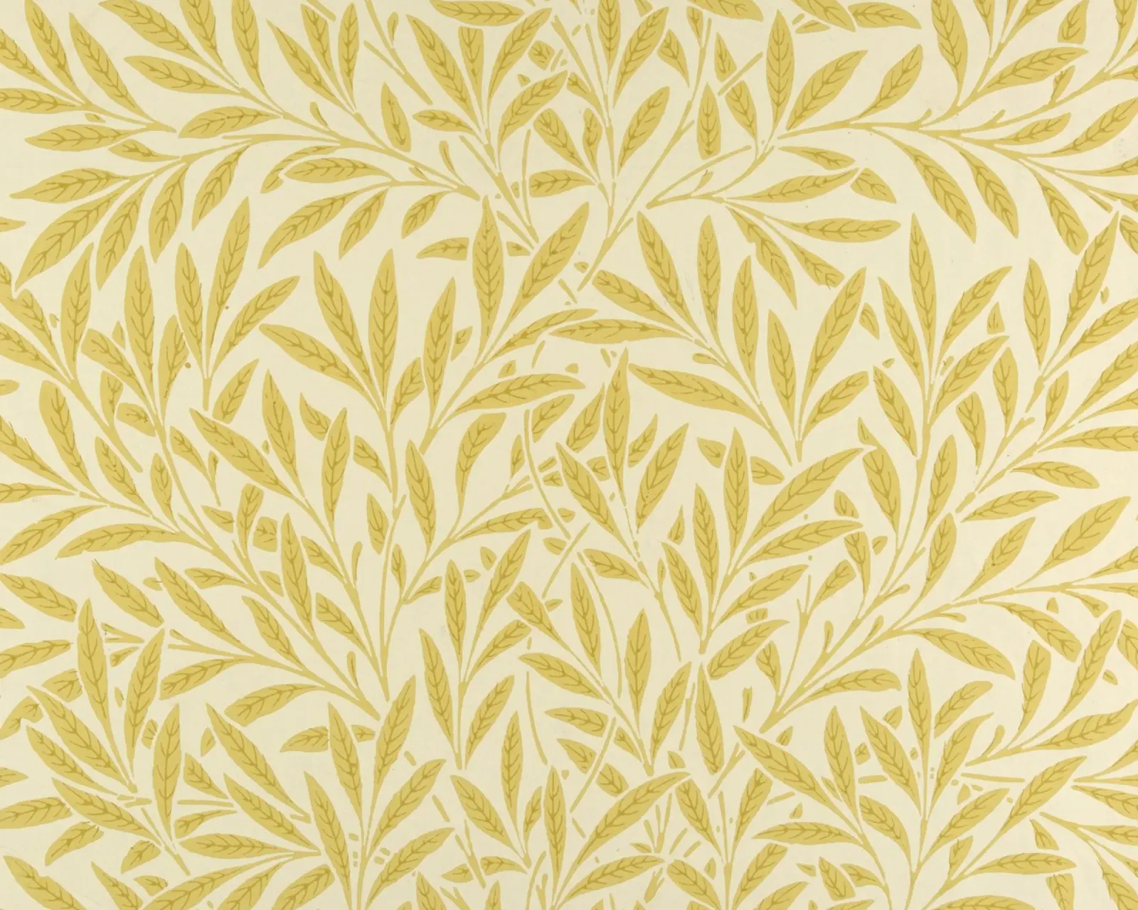 Morris - Rami di salice, giallo pellicola backlit da William Store