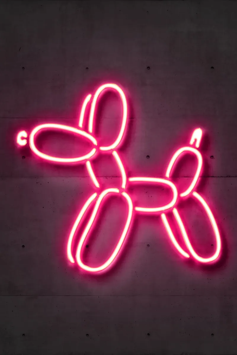 Balloon Dog pellicola backlit da Octavian