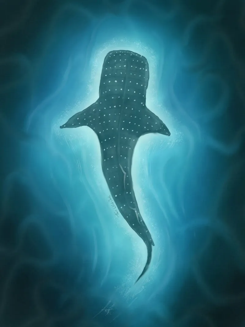Squalo balena, mare blu profondo Illustrazione magica dell'oceano poster da This Wild Soul - Illustration