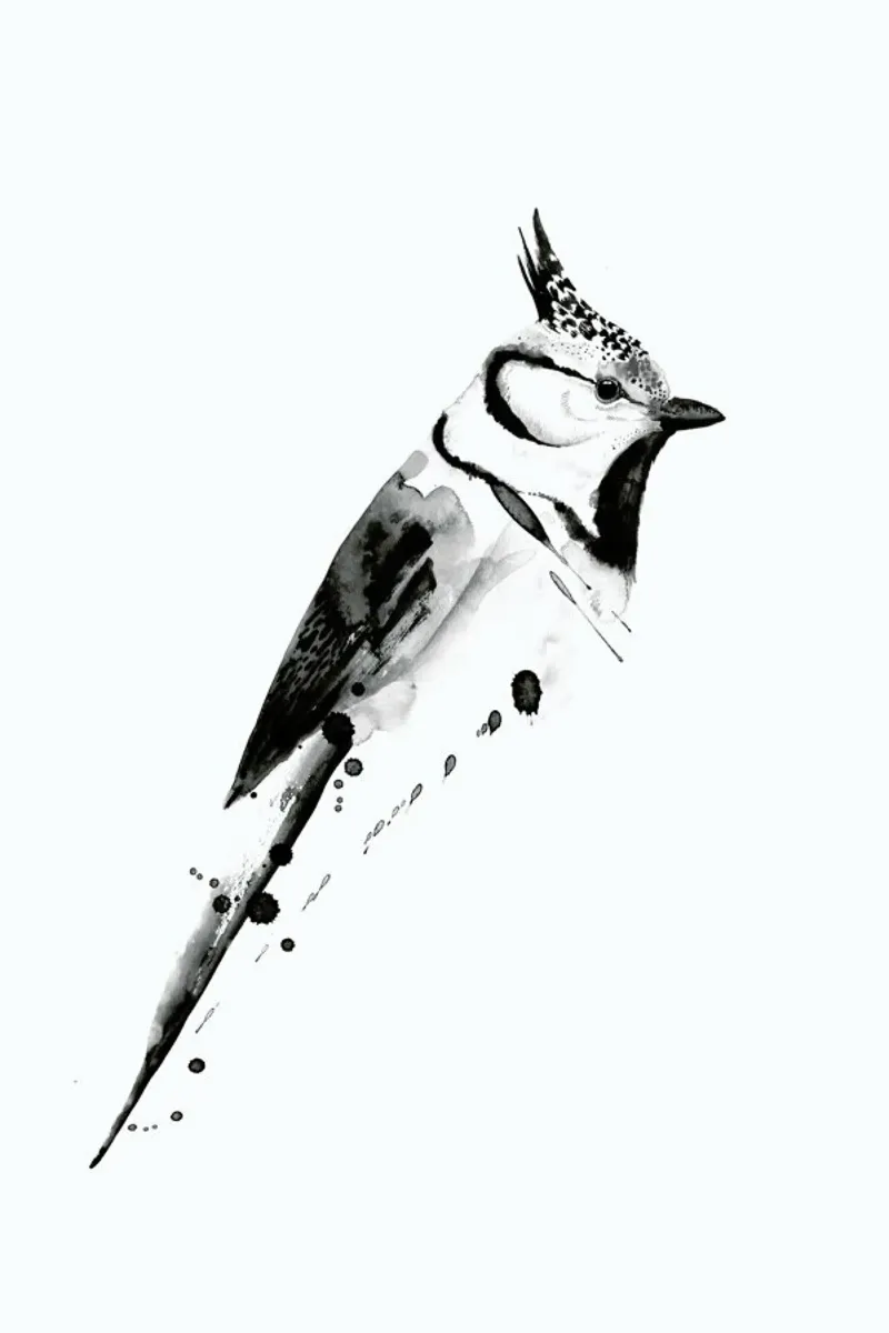 Birdy No. 2 carta hahnemühle da typealive