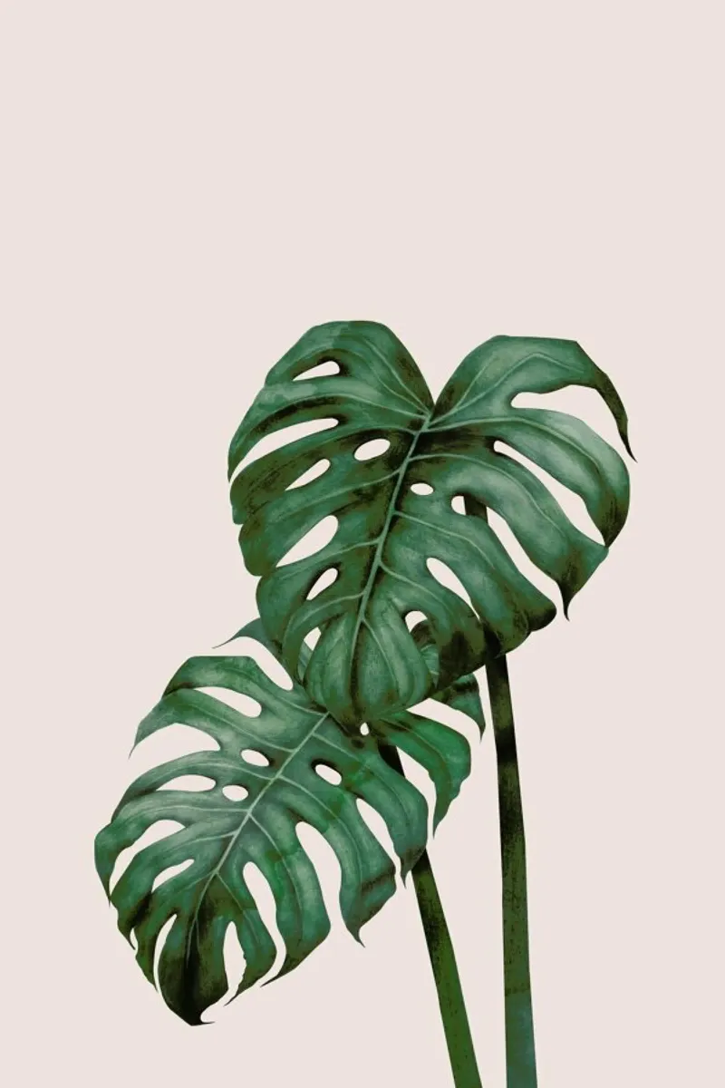 Tropical No. 9 carta hahnemühle da typealive