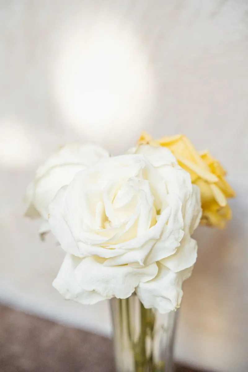 White Roses poster with wooden frame by Henrike Schenk Photography