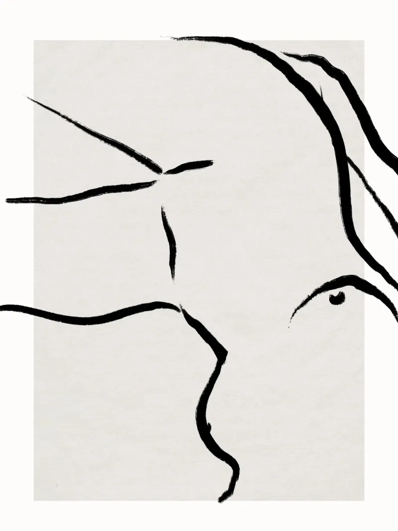 Léger Et Simple No 66 alluminio dibond da treechild