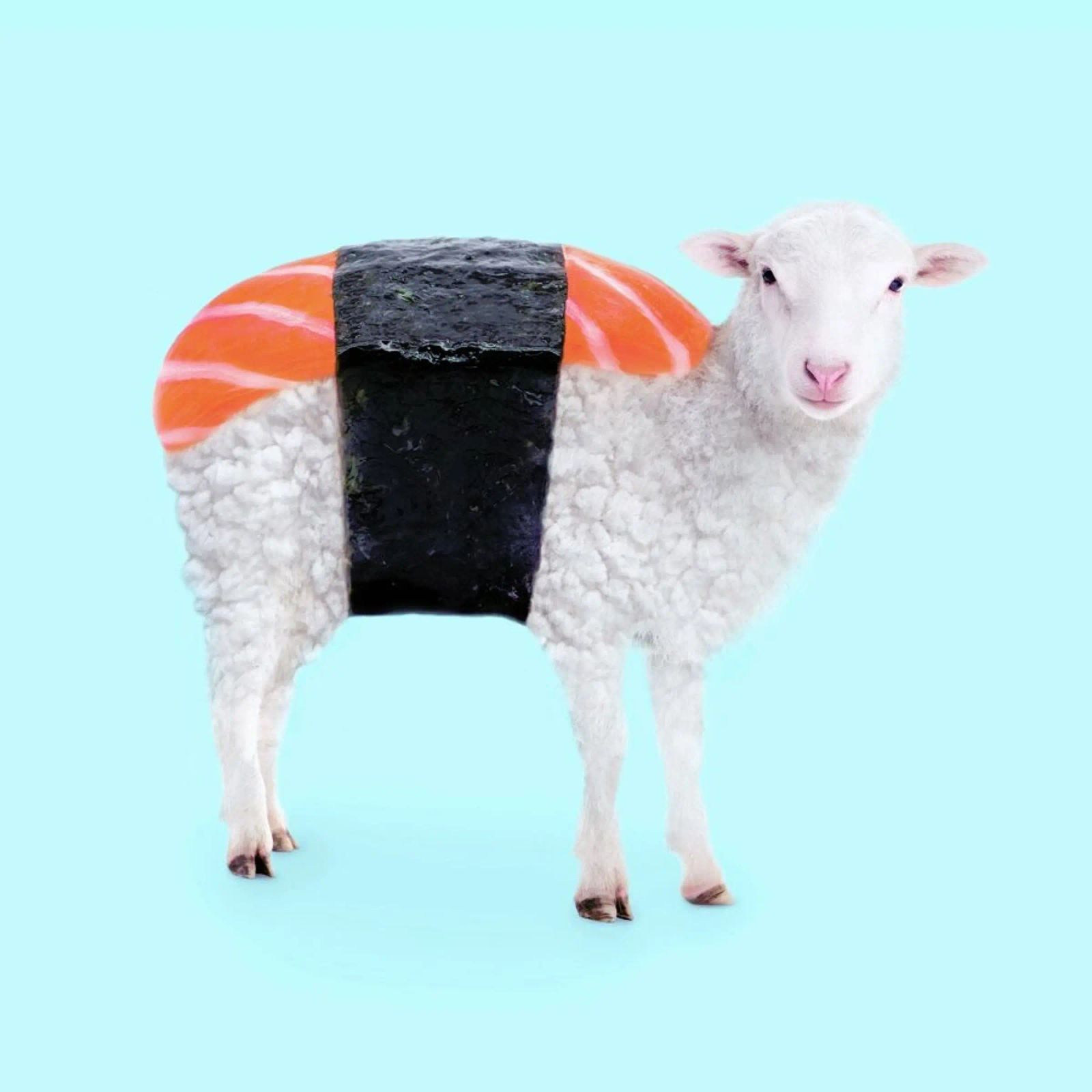 Susheep pellicola backlit da Paul Fuentes Design