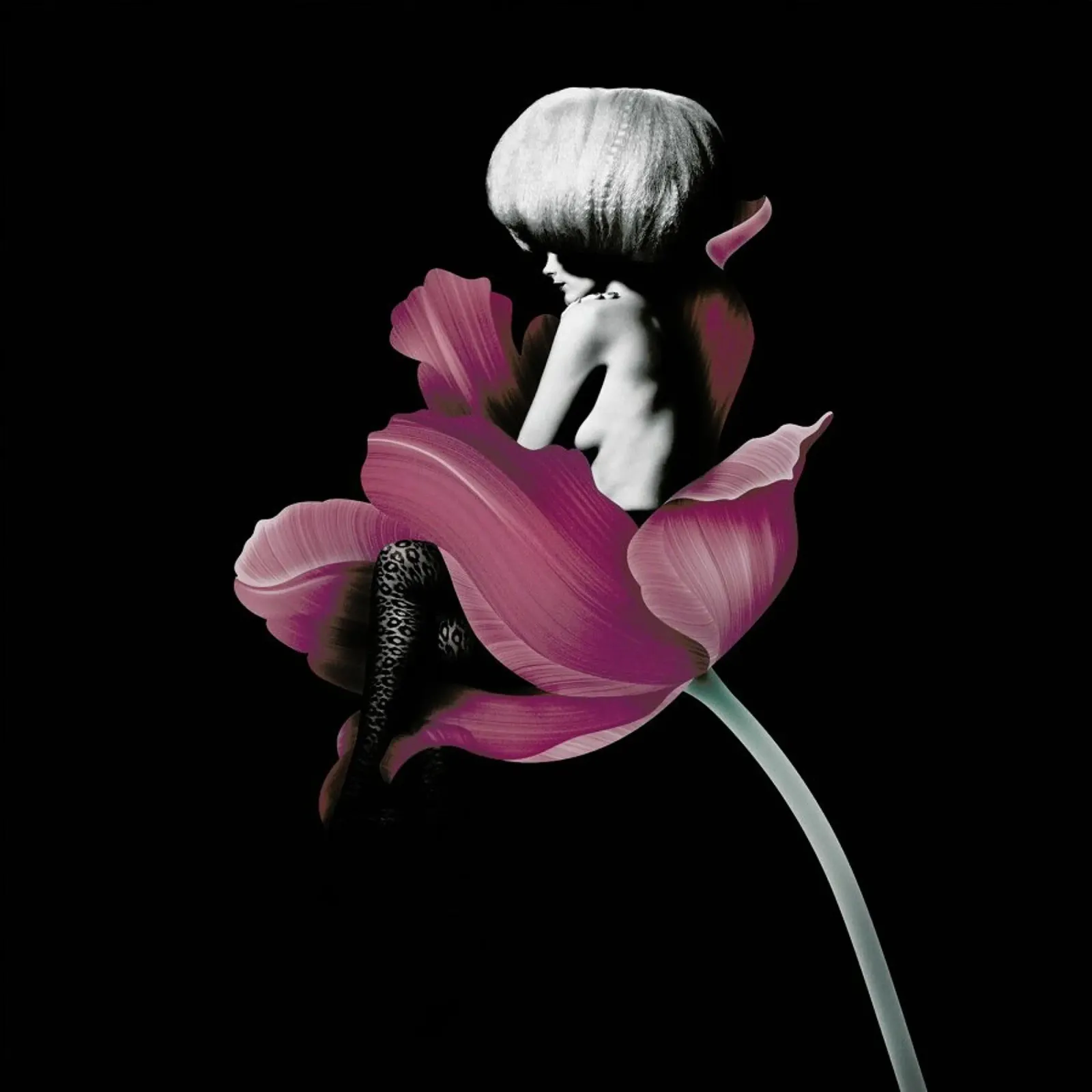 Parfum for You 4 alu-dibond by Paste in Place