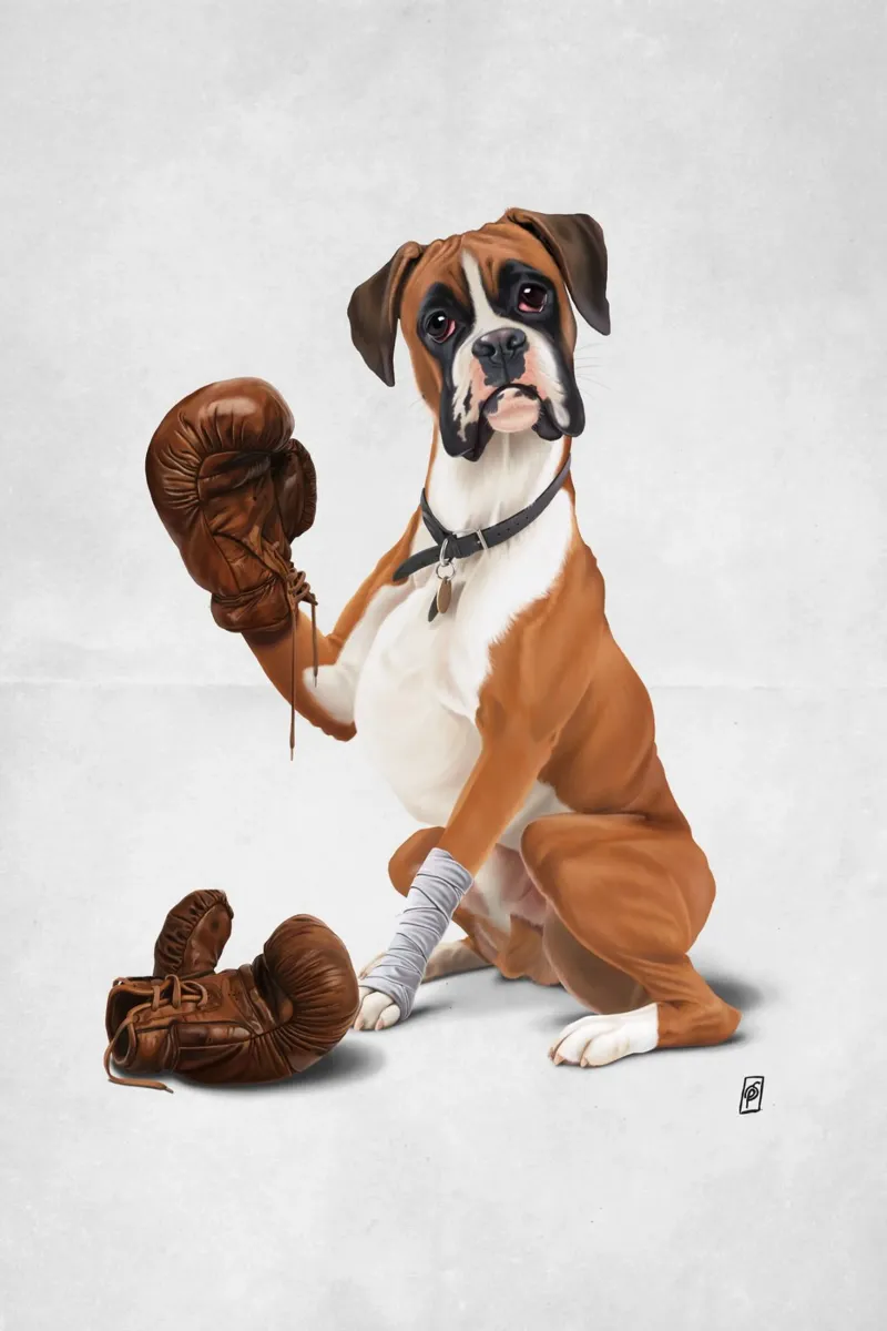 The Boxer (Wordless) plexiglass da Rob Art | Illustration