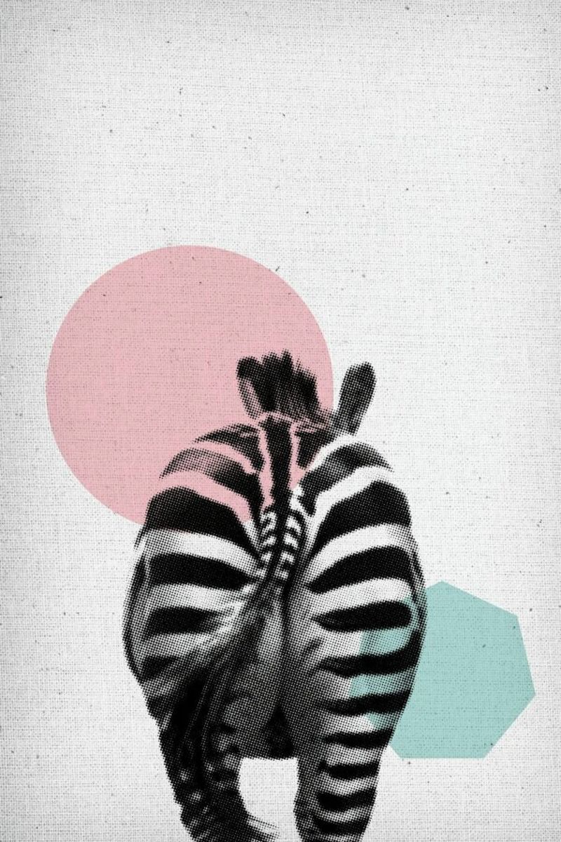 Zebra plexiglass da Froilein Juno