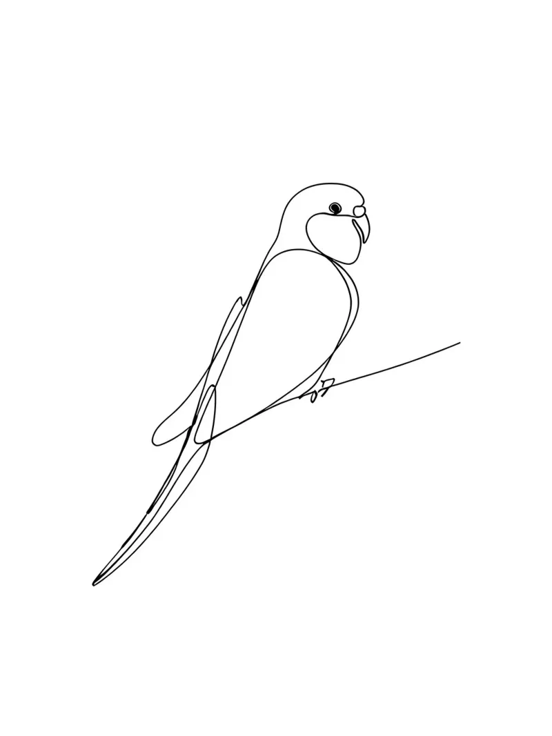 Minimalist Line Drawing of a Parrot | Modern Abstract Art canvas by Viv Line Art