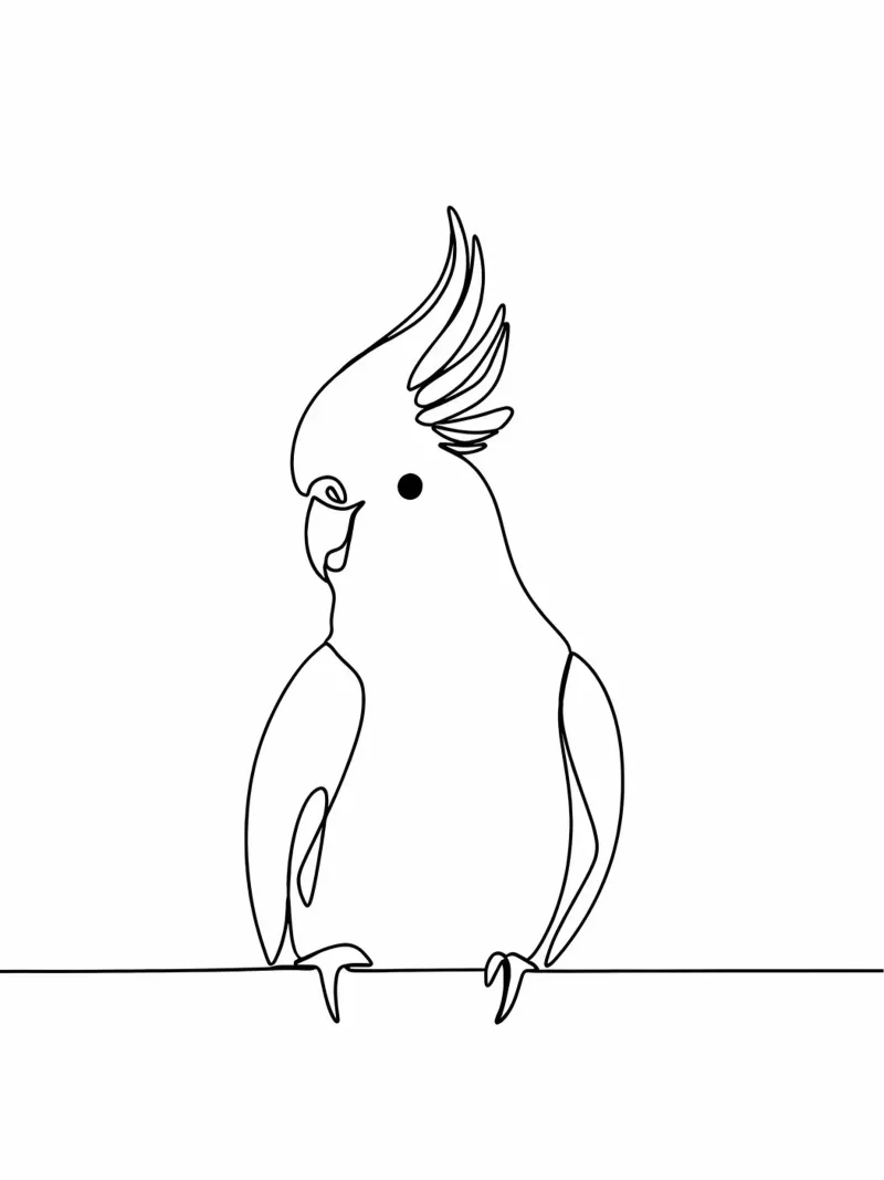 Minimalist Line Drawing of a Cockatoo | Modern Abstract Art canvas by Viv Line Art