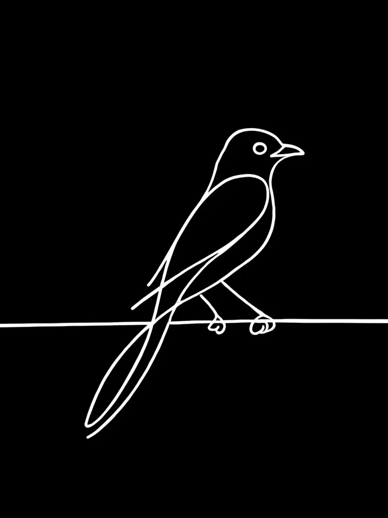 Minimalist Line Drawing of a Bird on a Wire | Modern Abstrac hahnemühle by Viv Line Art