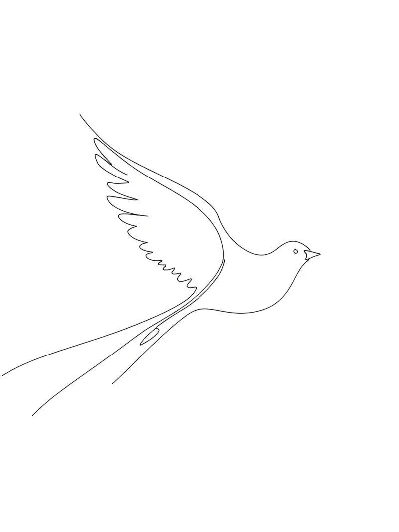 Dessin au trait minimaliste d'une colombe | Modern Abstract Art hahnemühle de Viv Line Art