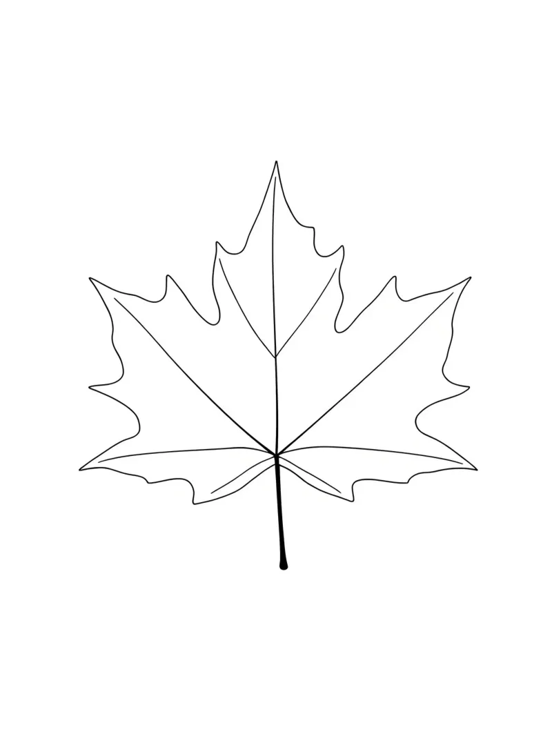 Dessin au trait minimaliste d'une feuille d'érable | Modern Abstract Ar hahnemühle de Viv Line Art