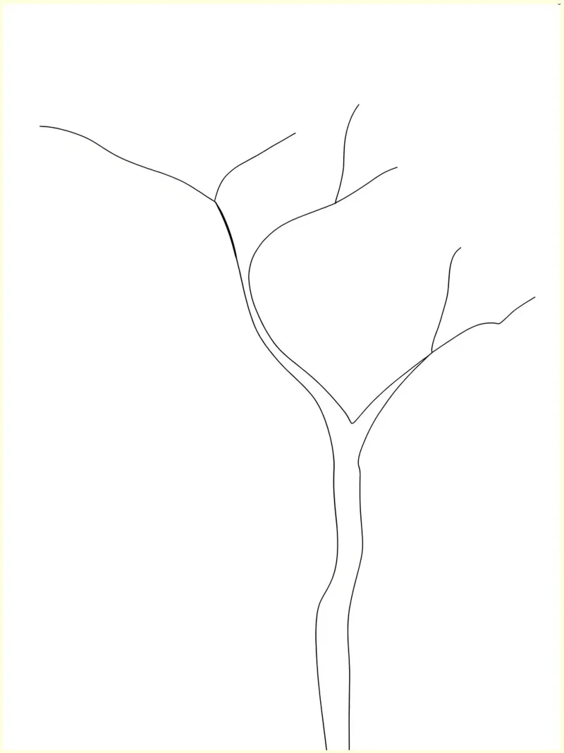 Minimalist Line Drawing of a Tree with No Leaves | Modern canvas by Viv Line Art