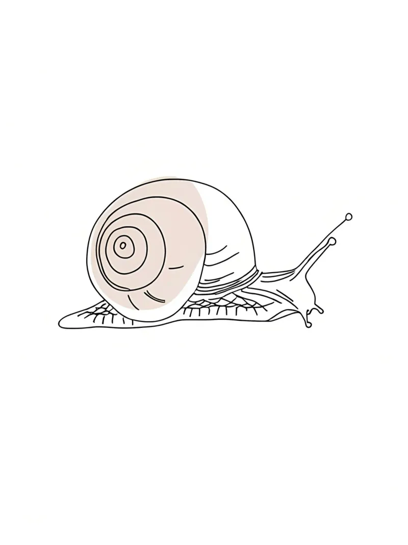 Minimalist Line Drawing of a Snail | Modern Abstract Art hahnemühle by Viv Line Art