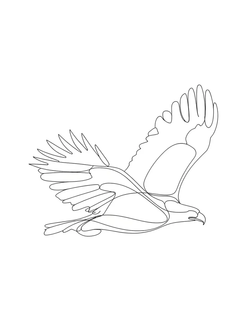 Minimalist Line Drawing of an Eagle in Flight | Modern Abstr canvas by Viv Line Art
