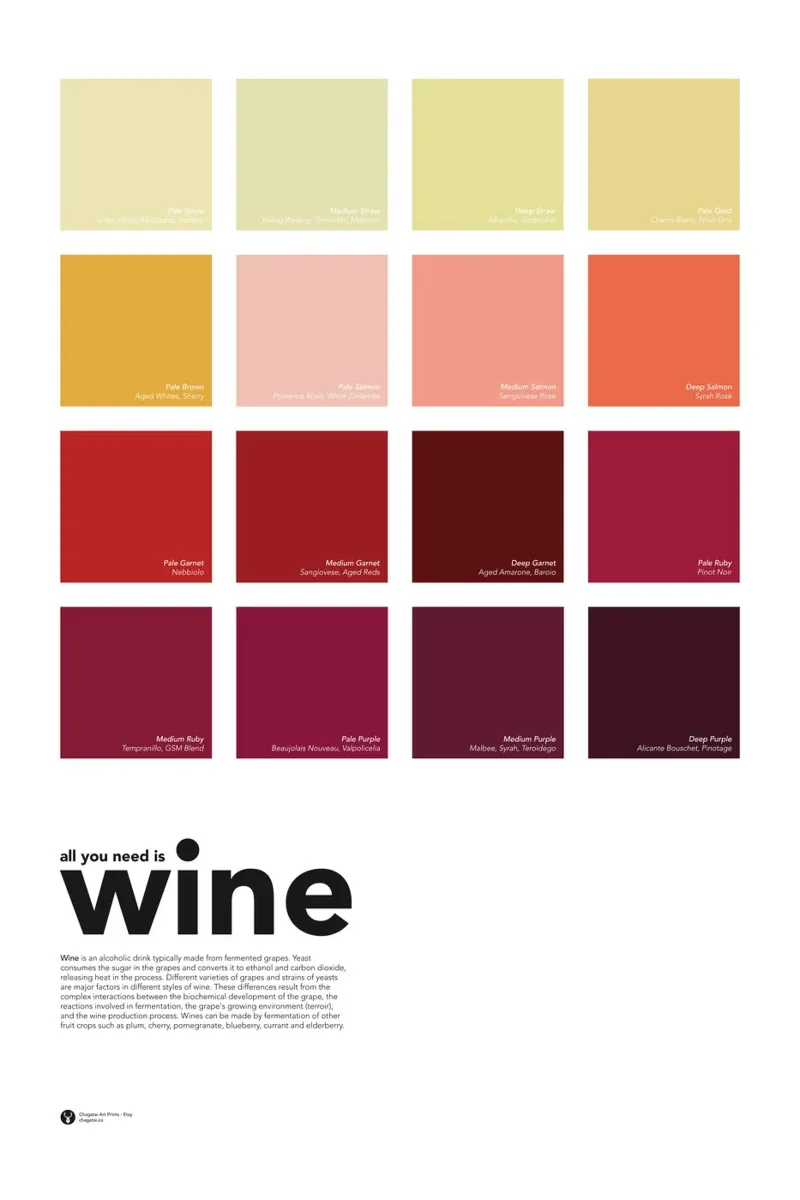 Wine Color Chart - All you need is wine - Wine Lovers Gift canvas with Floater frame by Chagatai Art
