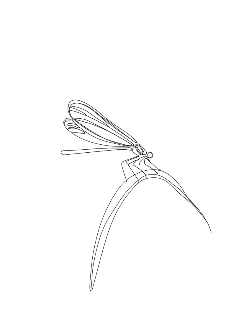 Dessin au trait minimaliste d'une libellule | Modern Abstract Art hahnemühle de Viv Line Art