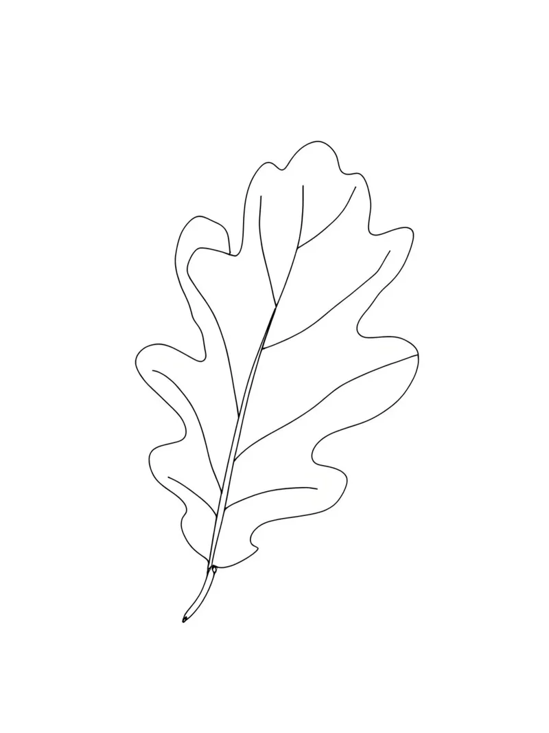 Minimalist Line Drawing of an Oak Leaf | Modern Abstract Art canvas by Viv Line Art