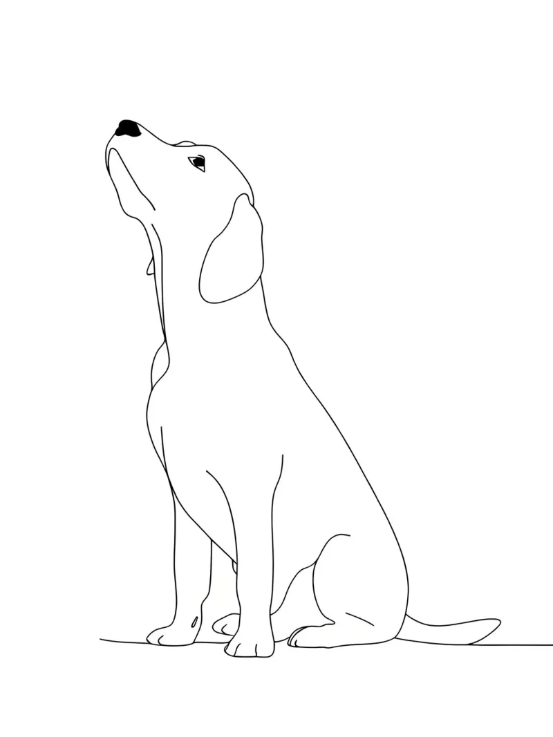 Dessin au trait minimaliste d'un chien Labrador | Abstrait moderne hahnemühle de Viv Line Art