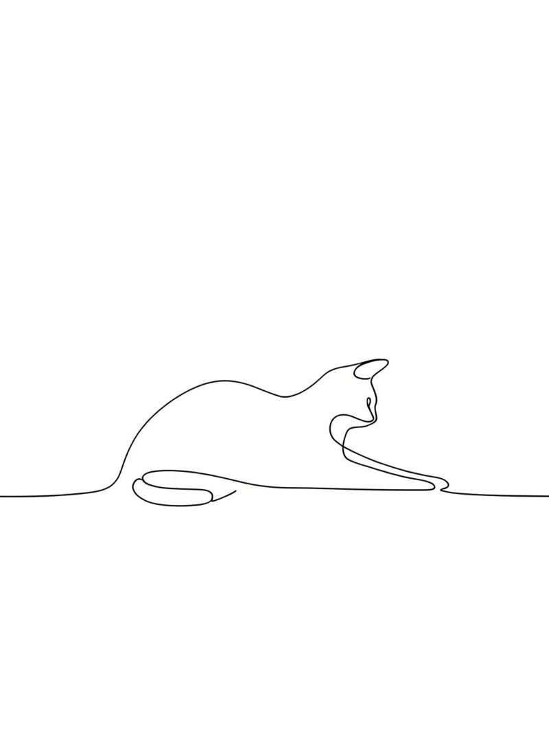 Minimalist Line Drawing of a Cat Flexing | Modern Abstract A canvas by Viv Line Art