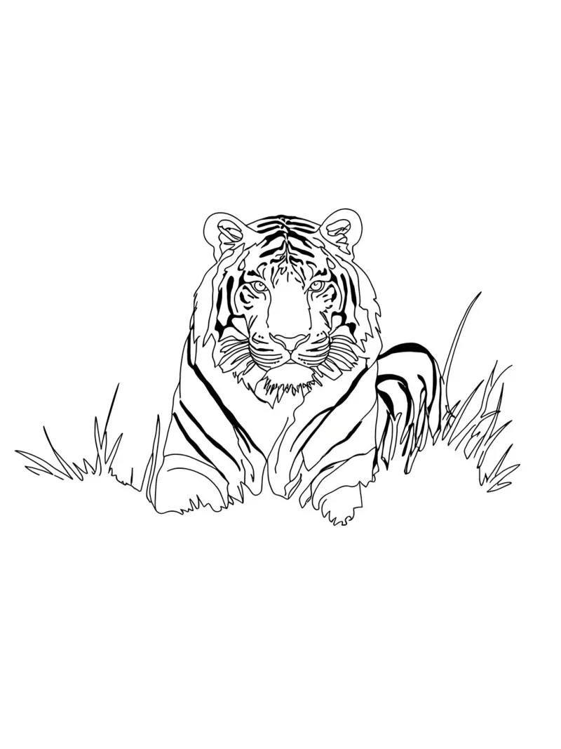 Disegno lineare minimalista di una tigre nell'erba | Abs moderno poster da Viv Line Art