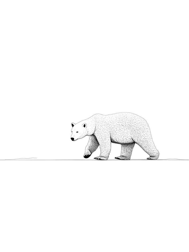 Disegno di linea minimalista di un orso polare | Ar astratto moderno carta hahnemühle da Viv Line Art