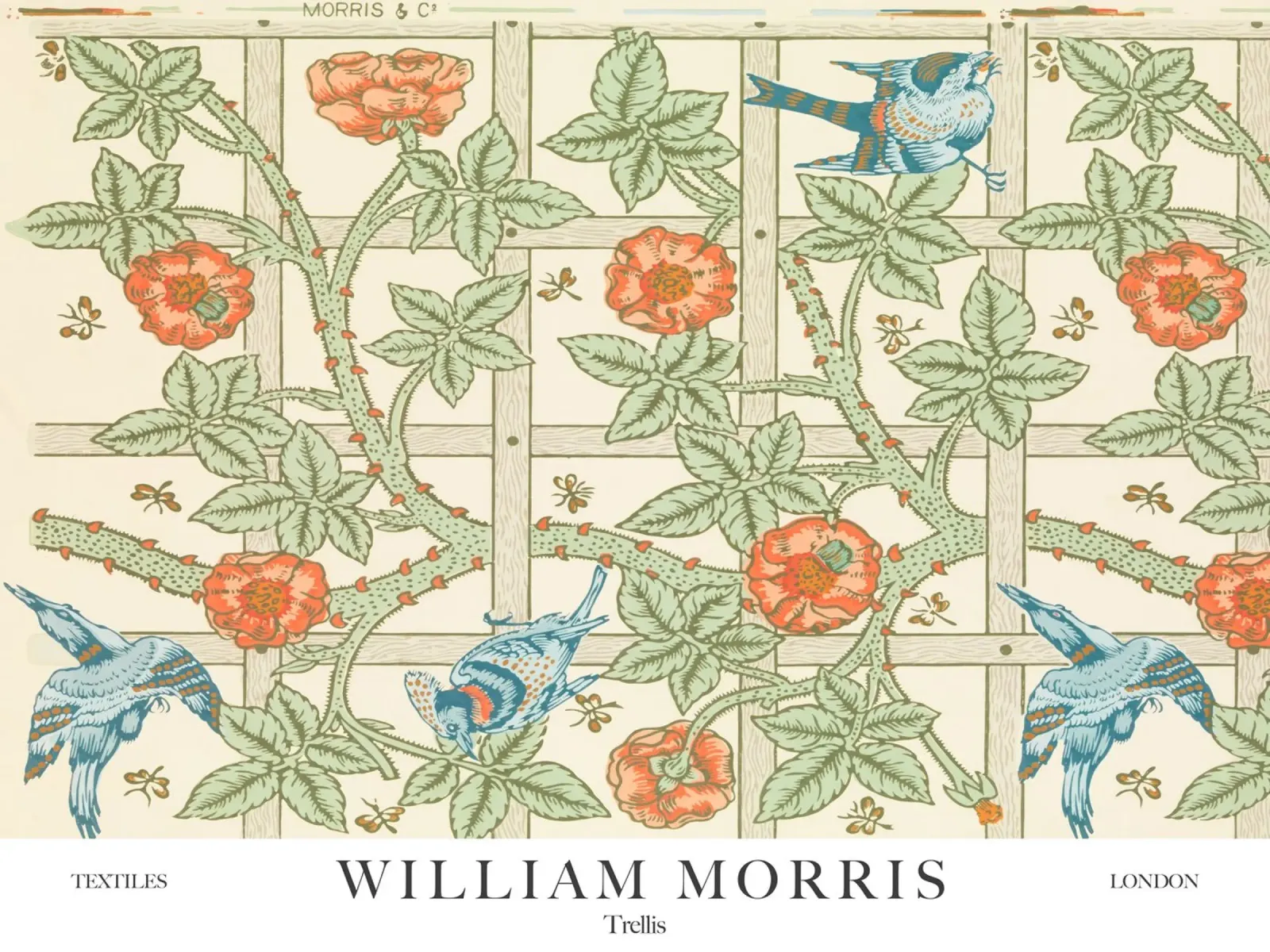 William Morris, Vogels Trellis canvas met Baklijst van Peaches Art Prints