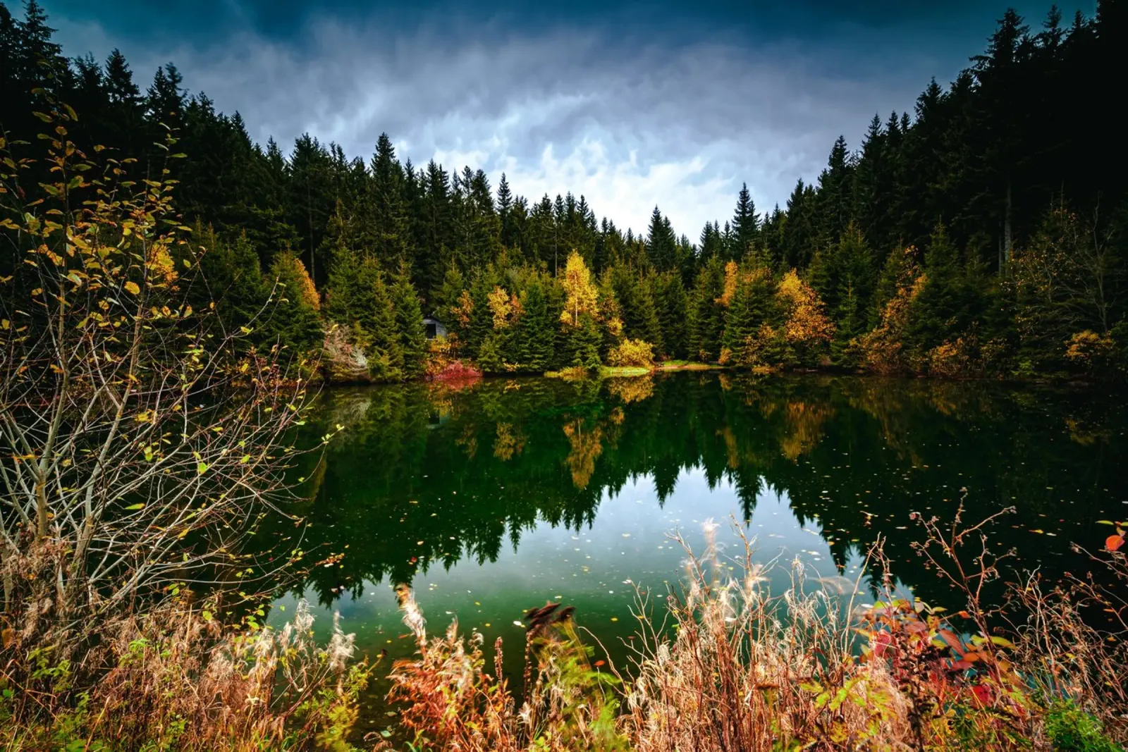 Reflection of the trees in the "Kleiner See" lake in Oberwiesenthal canvas by Marcus Beckert | Fotografie