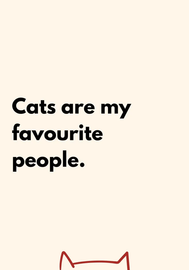 Cats Are My Favorite People | Typography Art Print pellicola backlit da PrintCessStudio