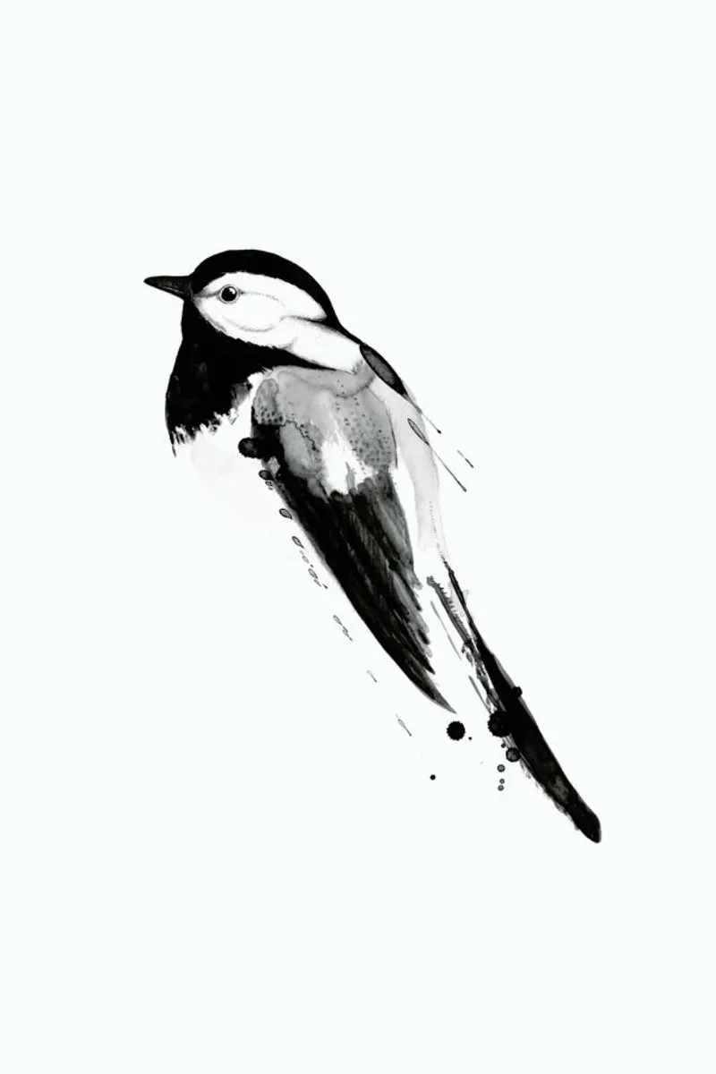 Birdy No. 1 plexiglass da typealive