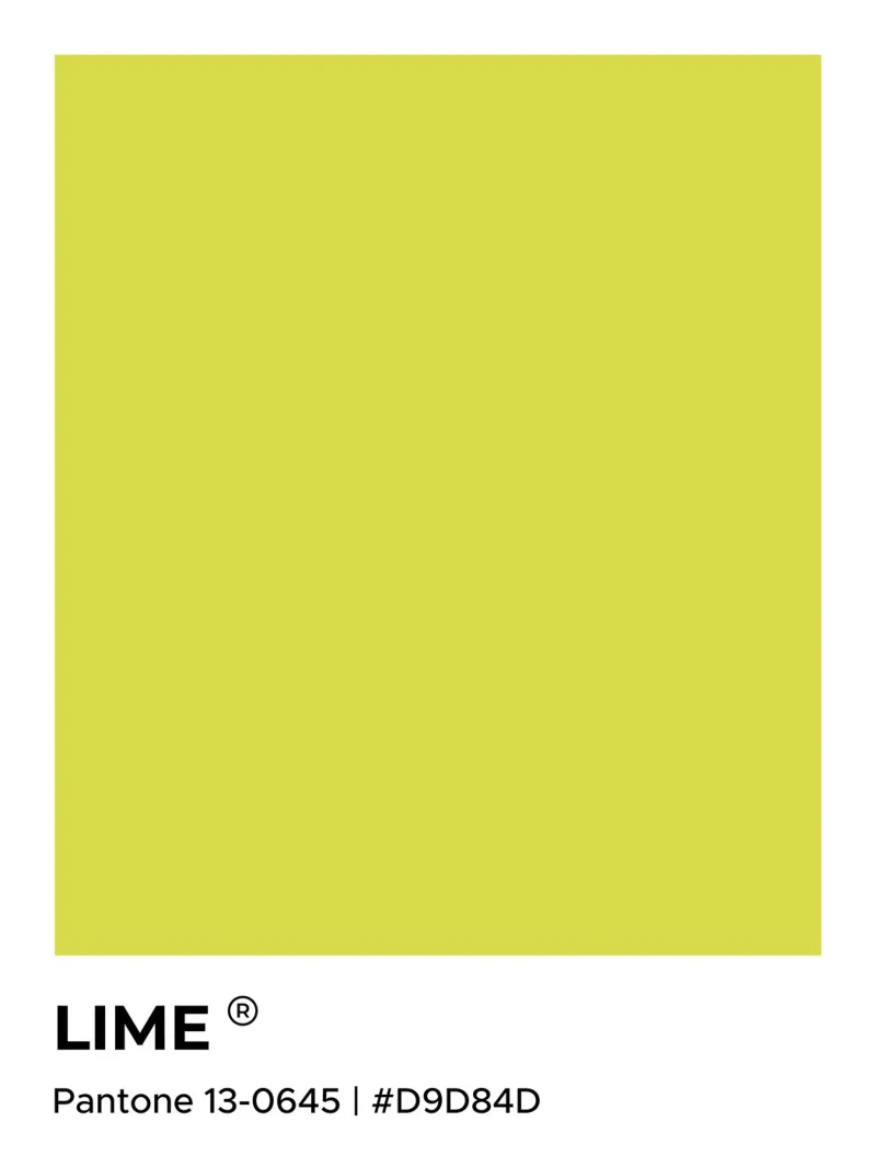 Verde lime Pantone pellicola backlit da Paigaam Studio
