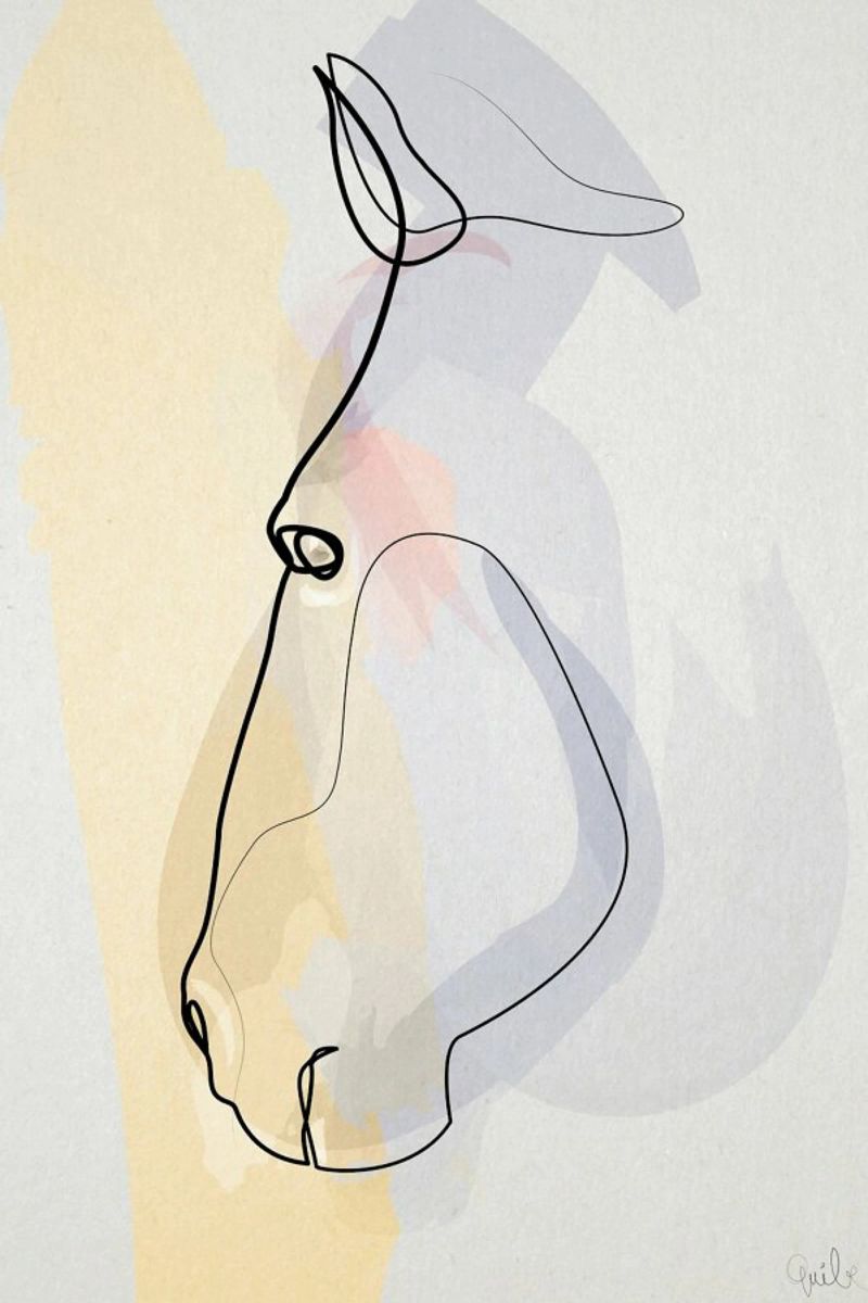One Line Horse 1711 poster by Quibe