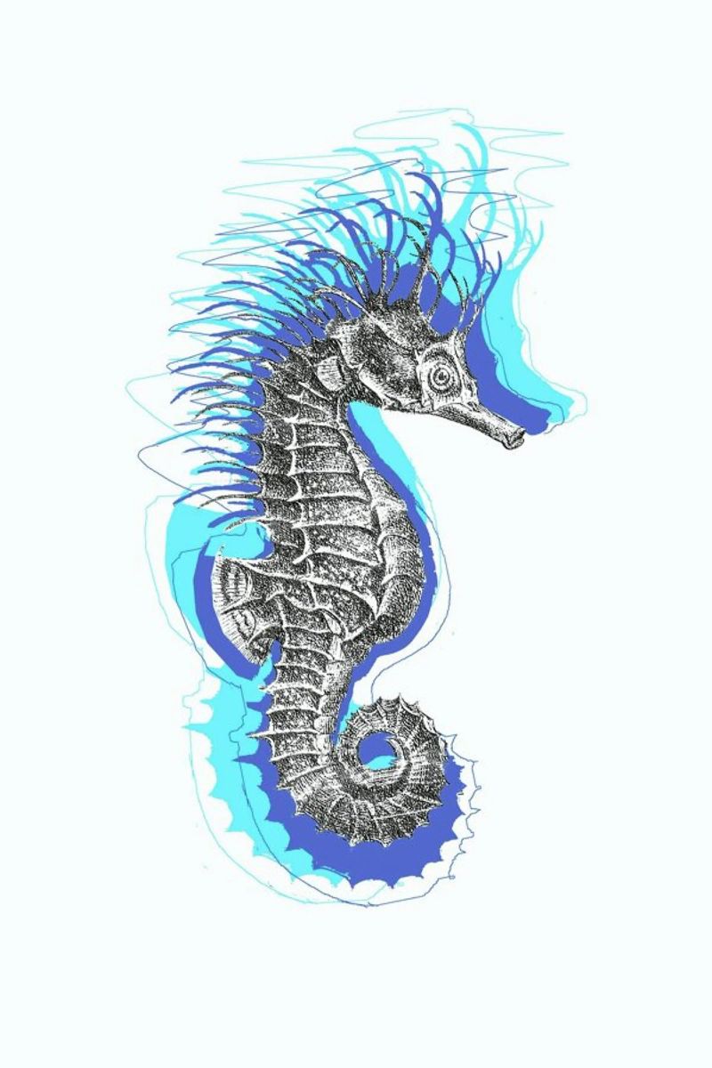 Seahorse poster by Rococco LA
